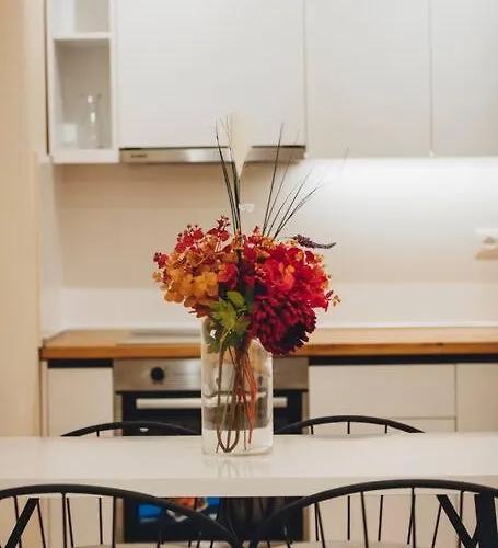 Apartment Luxury At Myslym Shyri